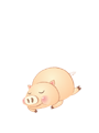 캰 ǿǮ